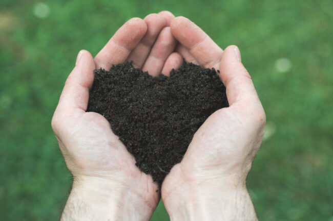 Hands holding soil in the shape of a heart