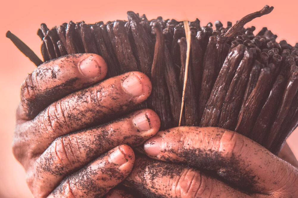 Kerry Group sustainably harvested vanilla