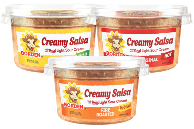 Borden Creamy Salsa