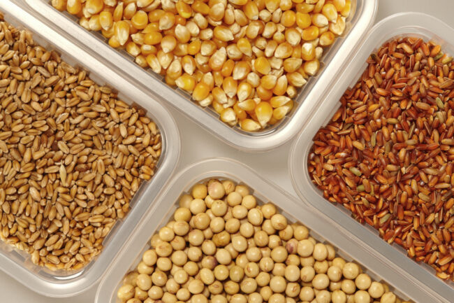 Grains and oilseeds