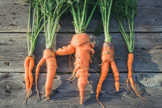 Upcycled carrots