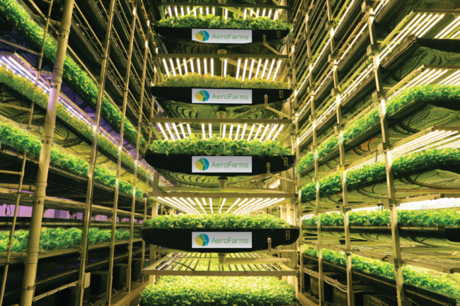 Aero Farms' indoor farm in Newark, New Jersey