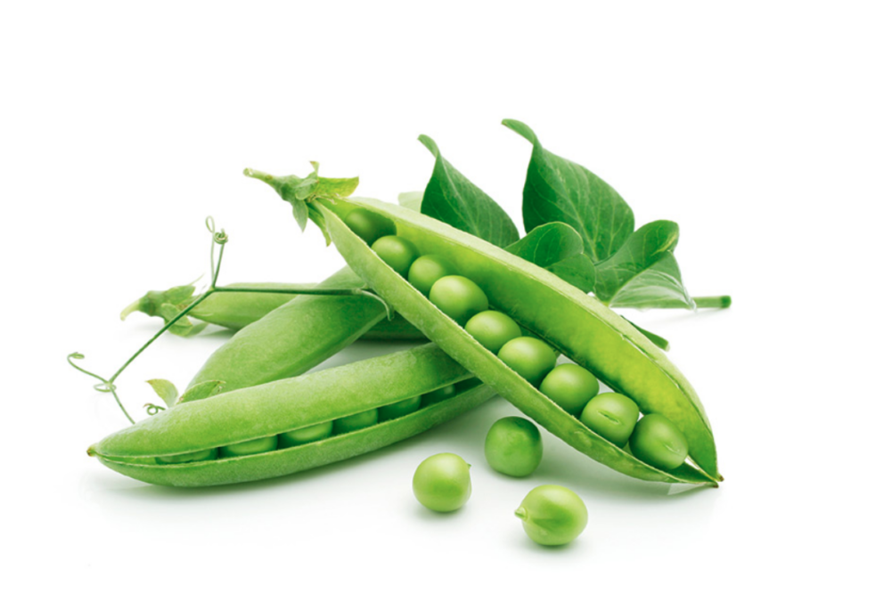 peas on white background