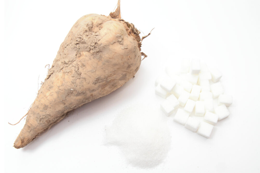 Sugar beet and sugar