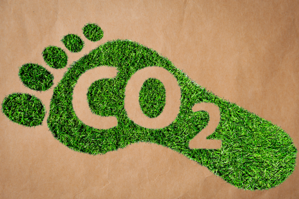 Carbon Footprint Labeling As Point Of Differentiation 2021 02 02 