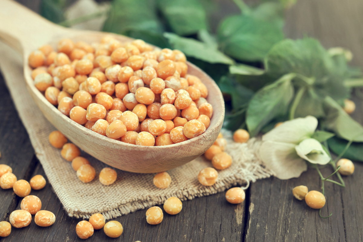 Dry yellow peas in a spoon