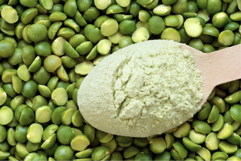 Ingredion expands pea protein solutions | 2021-03-04 | Food Business News