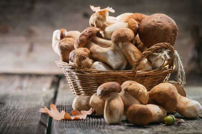 Basket of mushrooms