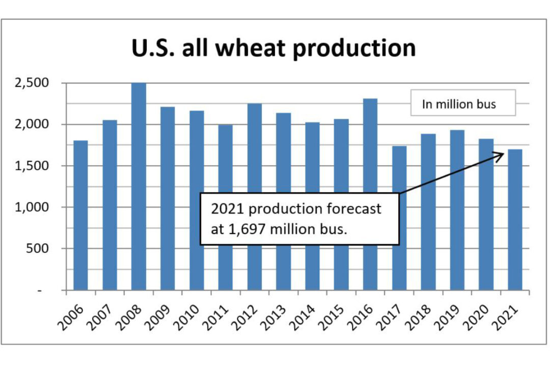 all-wheat-production-forecast-down-3-from-july-estimate-2021-08-13-food-business-news