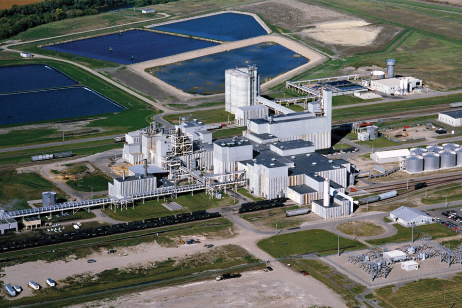 Cargill in new corn wet milling venture | Food Business News