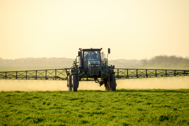 Tractor fertilizing youn wheat