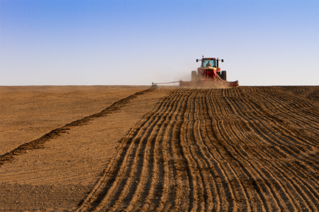 Plough tractor in a field