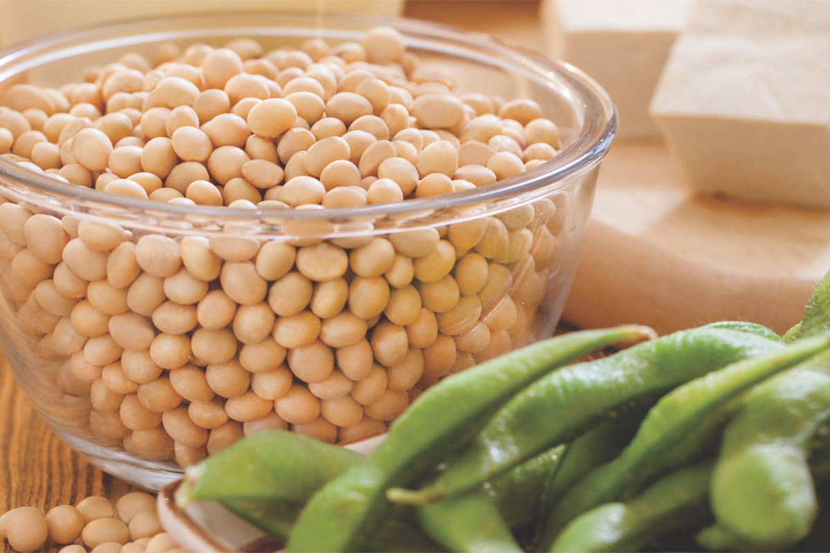 Soybeans in a bowl