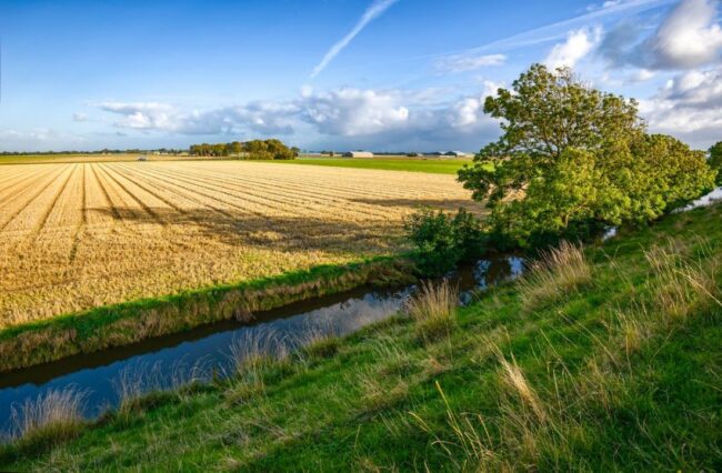 Field with creek running through it