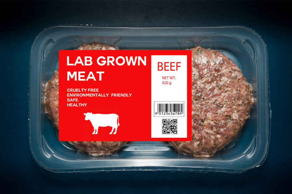 Labgrown Meat Companies Stock