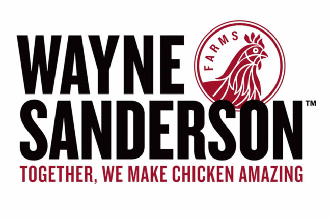 Wayne Sanderson logo