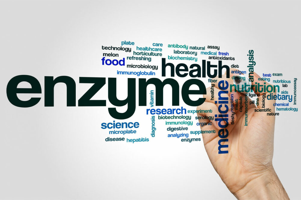 Enzymes word cloud