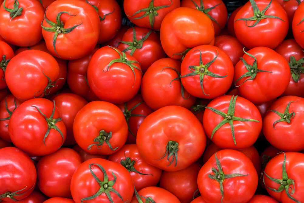 Red tomatoes