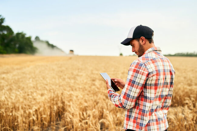 A farmer in a field