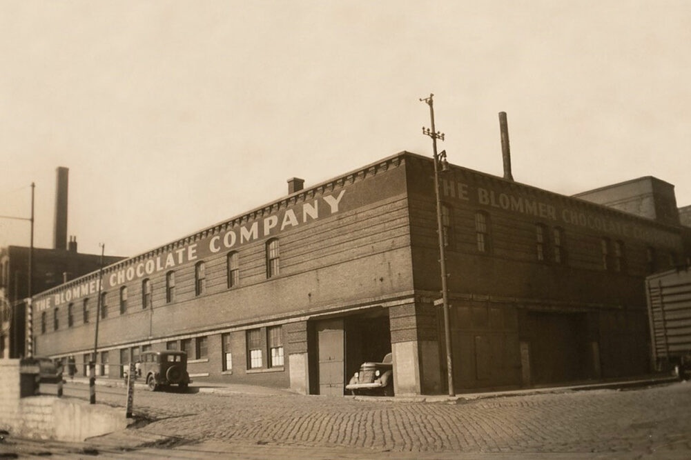 Blommer plant