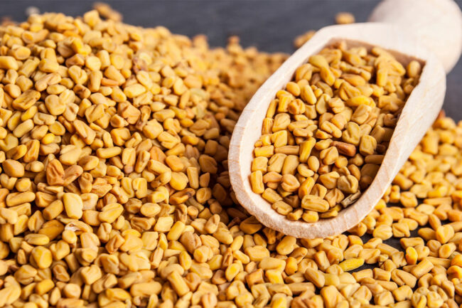 Fenugreek seed