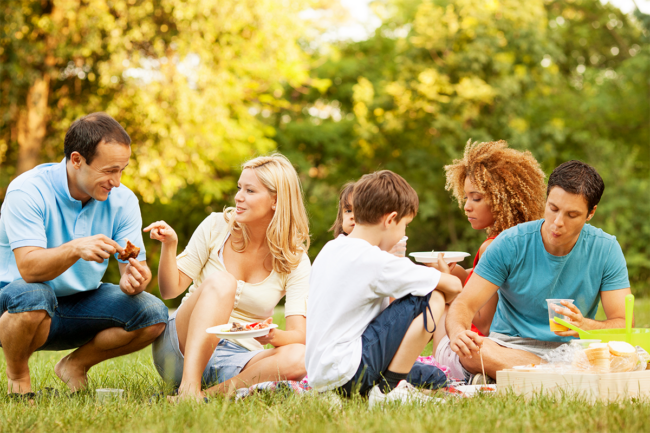 Family having a picnic