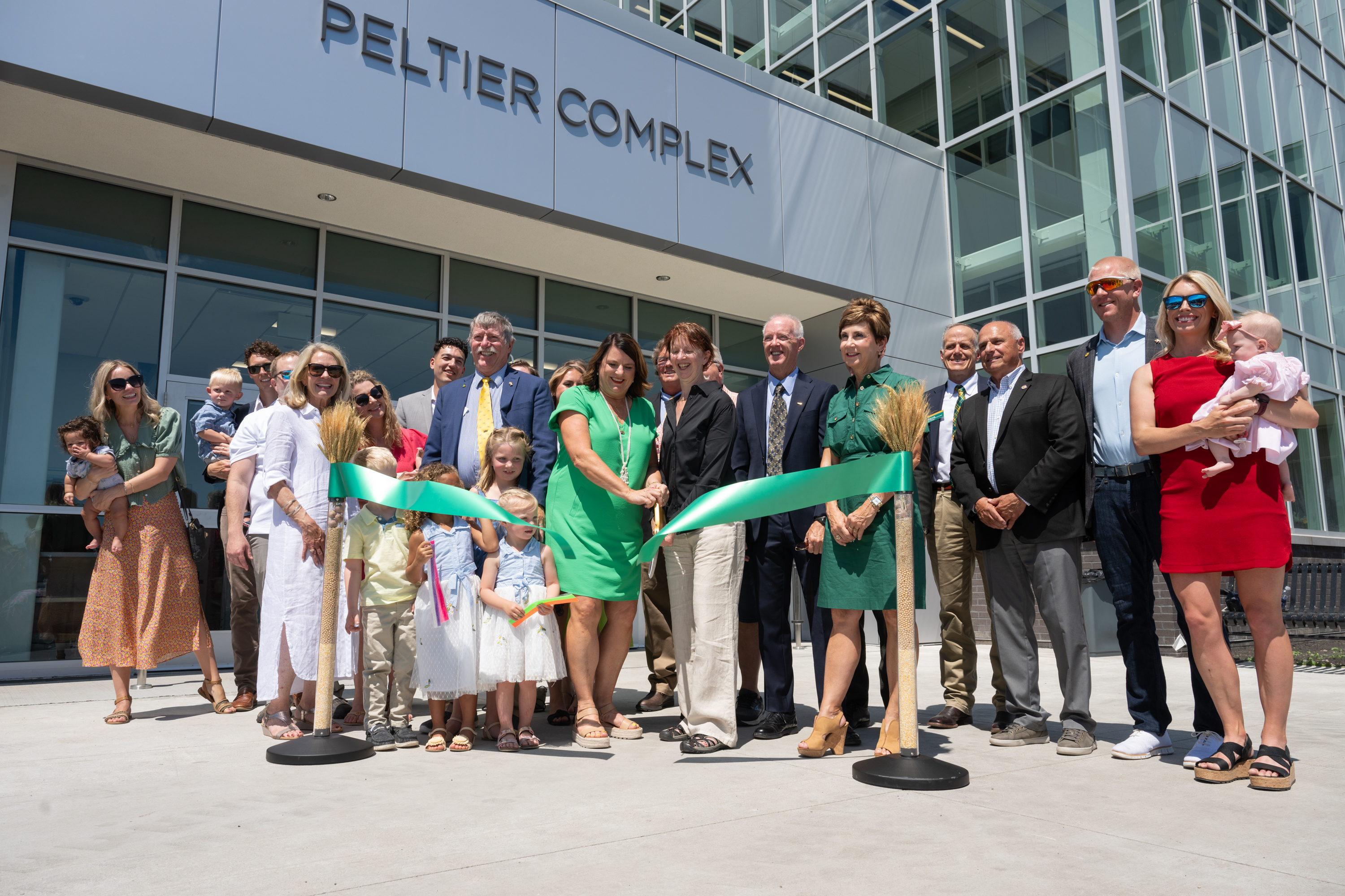 Peltier ribbon cutting