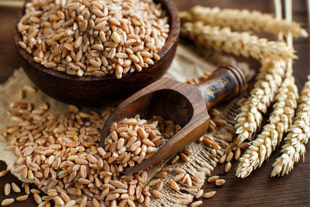 Grains in bowl