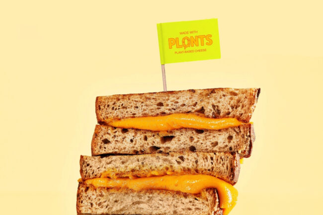 Plonts cheese sandwich