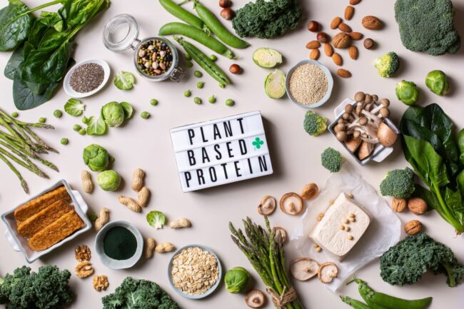 plant based protein