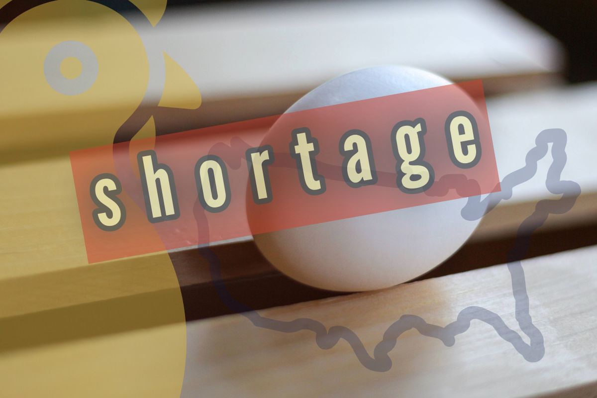 Egg shortage is whipping up a familiar panic