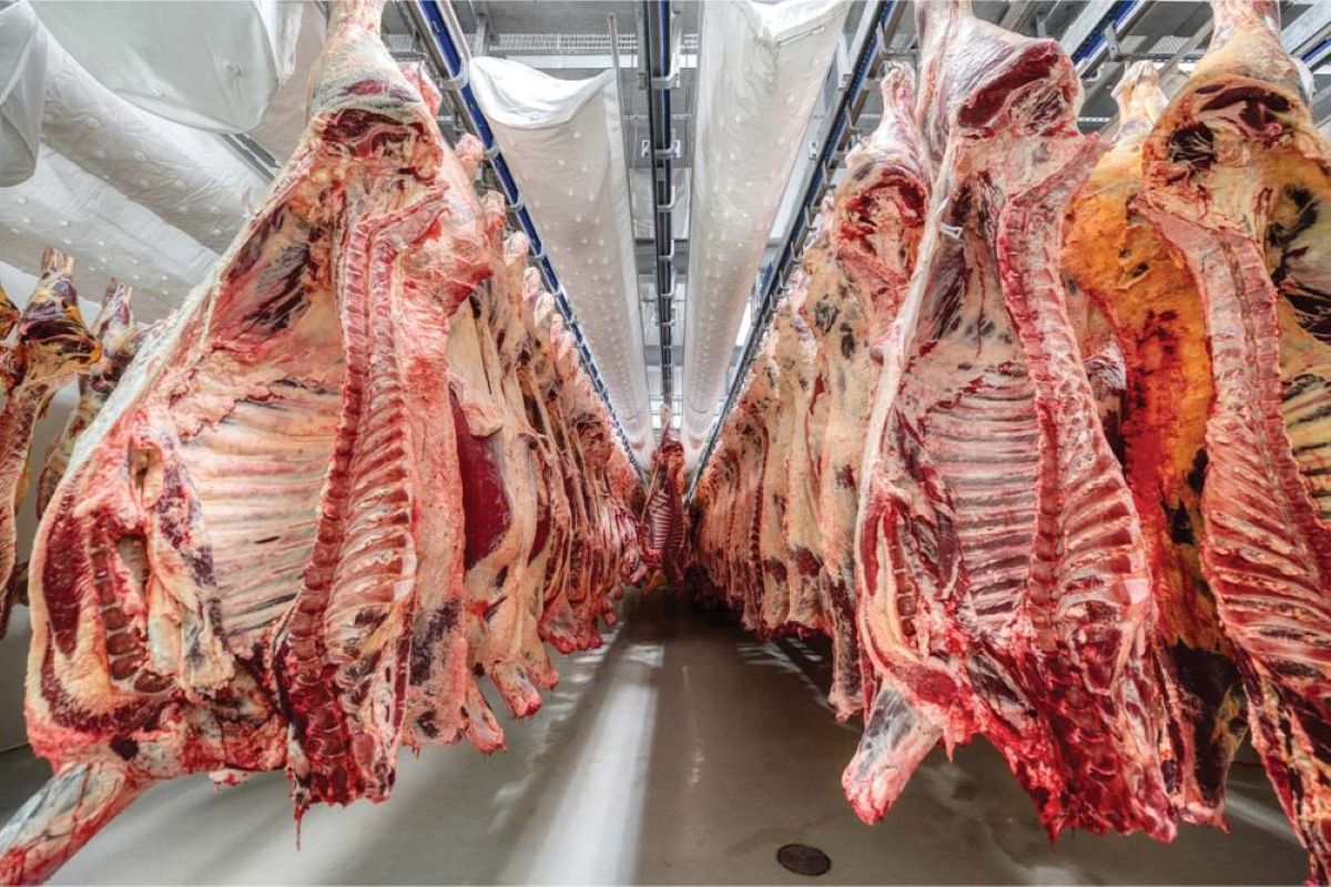 Perdido River Meats opens Alabama processing plant