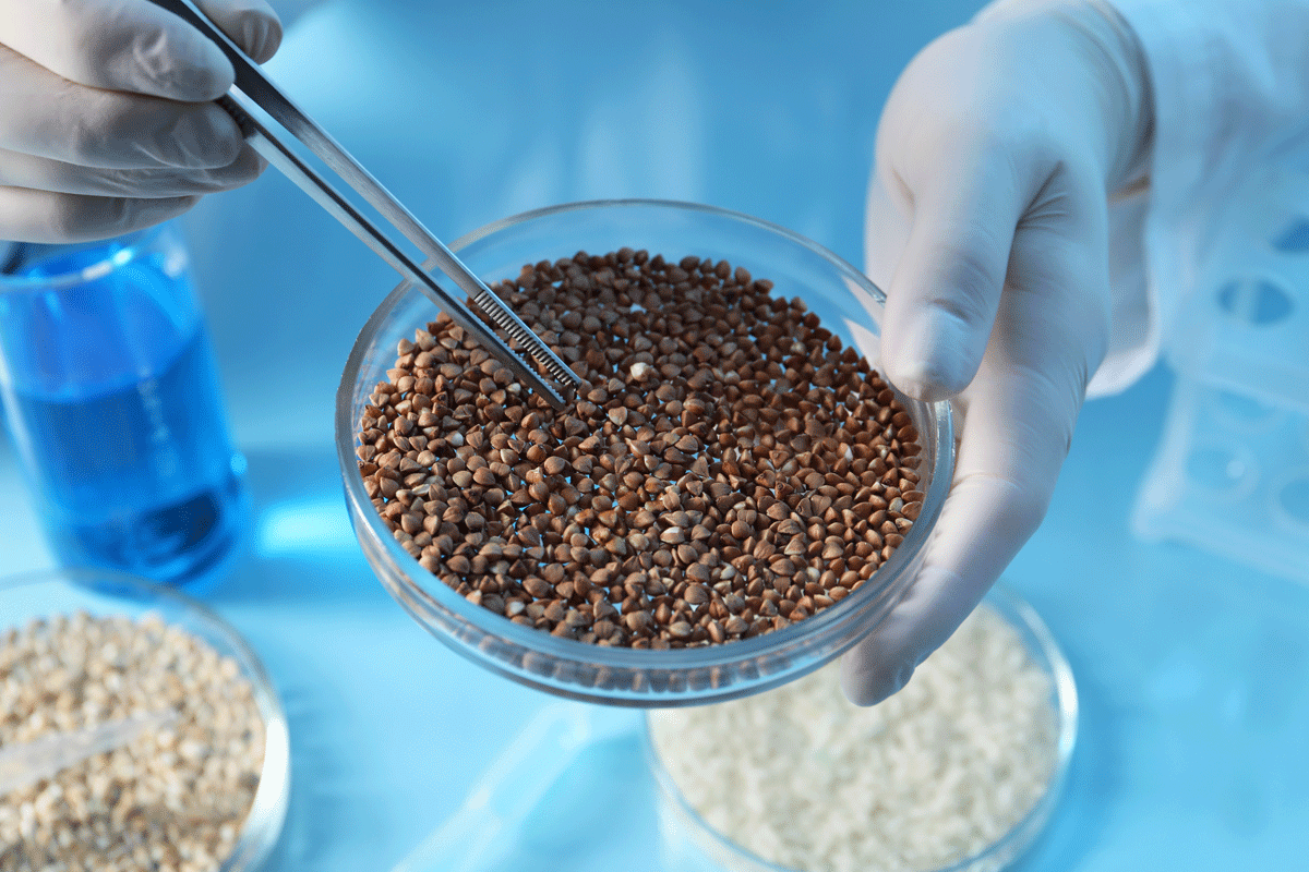 Grain Foods group launches research affiliate