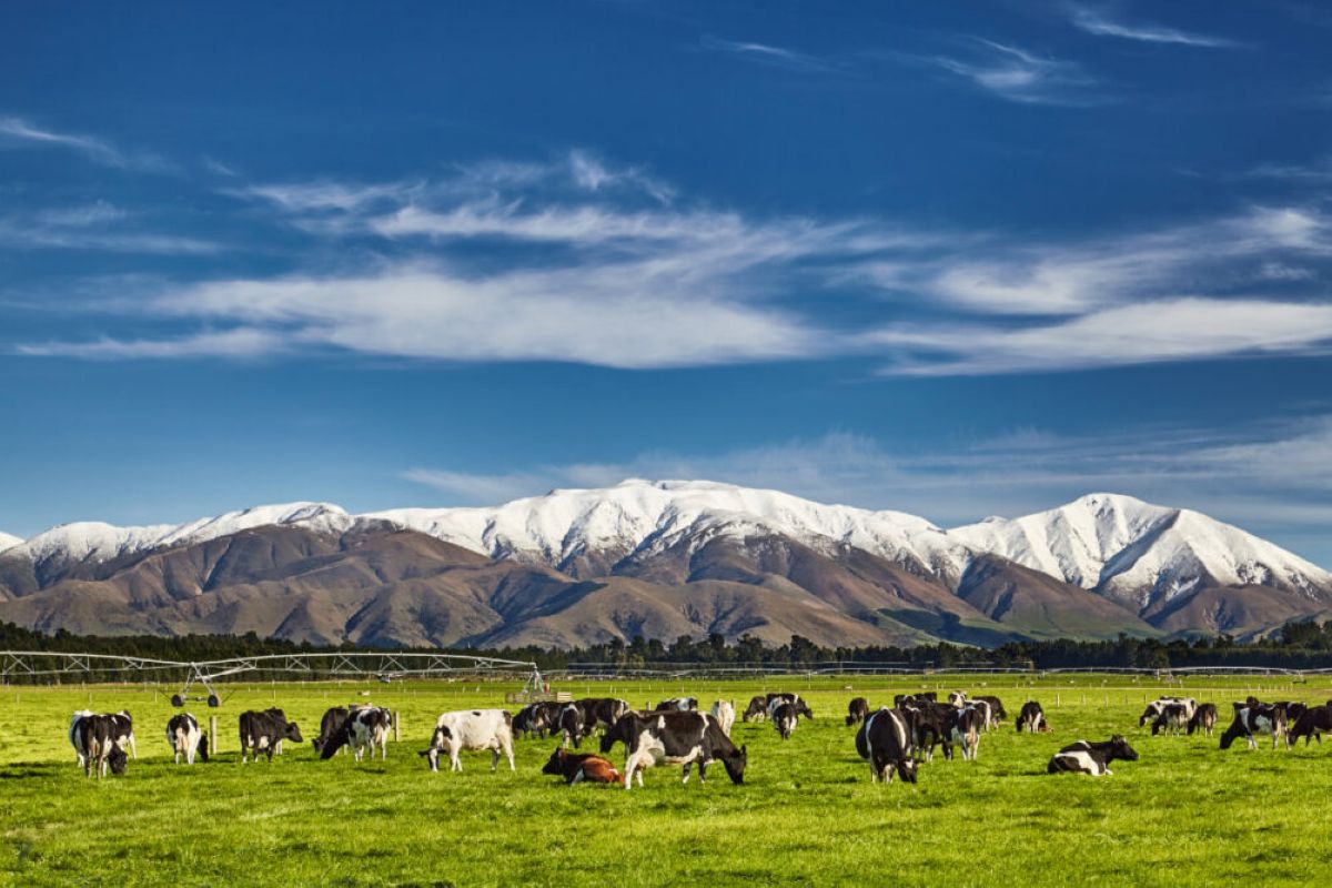 Mars collaborating with Fonterra to reduce GHG emissions